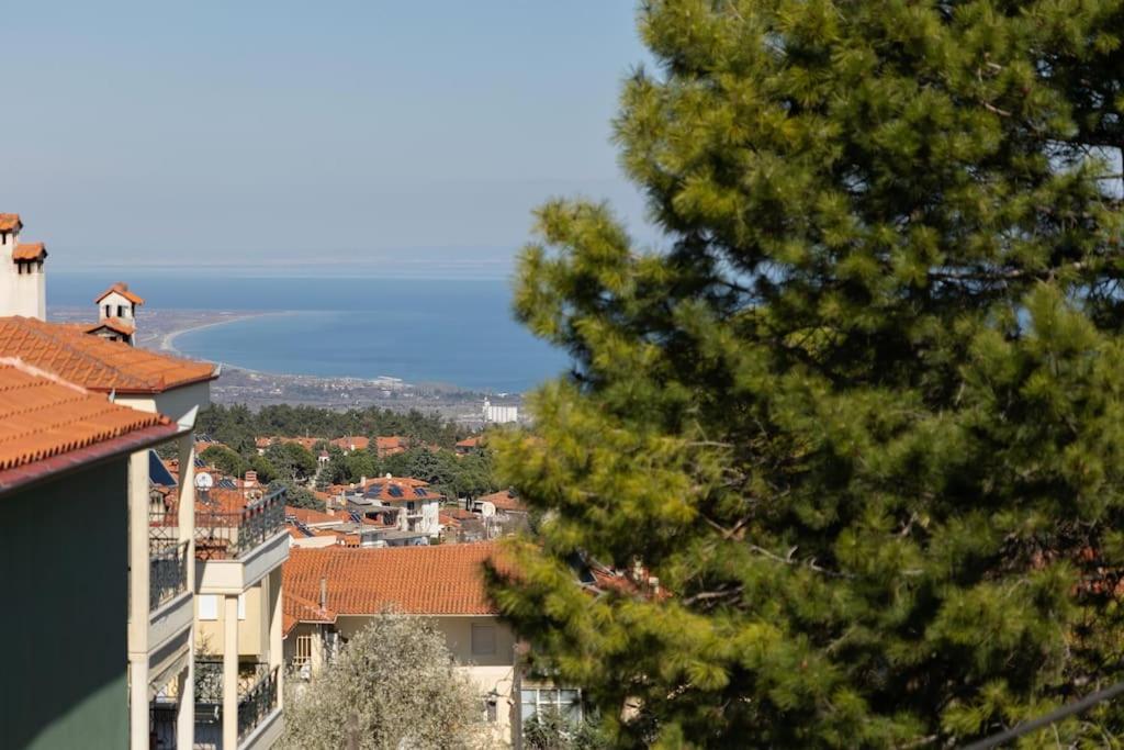 Olympus Betty'S Apartments Λιτόχωρο Εξωτερικό φωτογραφία